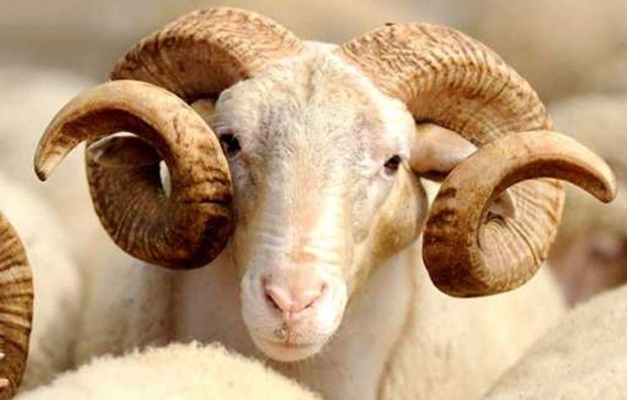 ADAKLARINIZ EMİN ELLERDE